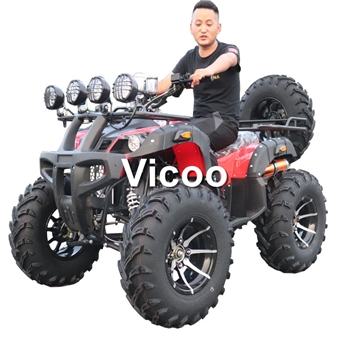 成人沙滩车